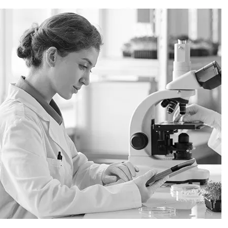 A-A-Global-Environmental-and-Lab-Inc-Bgf4